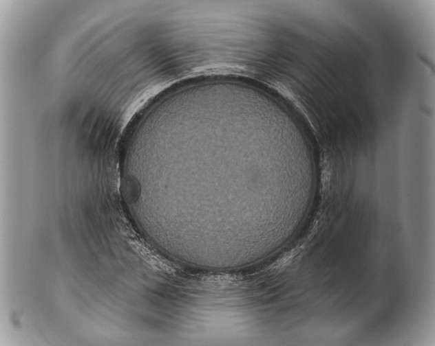 X0000101140973200807251022