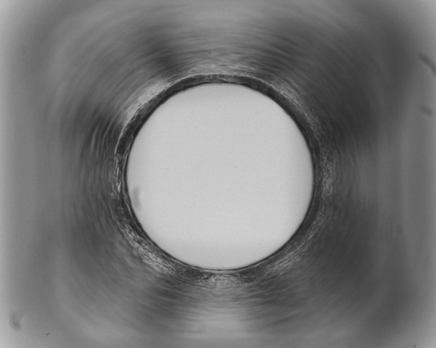 X0000101140974200807251022