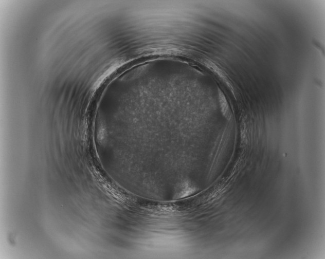 X0000101140975200807251022