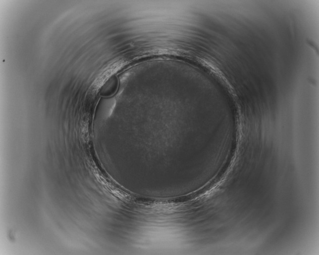 X0000101140977200807251022