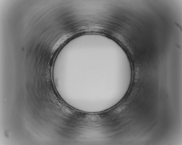 X0000101140978200807251022