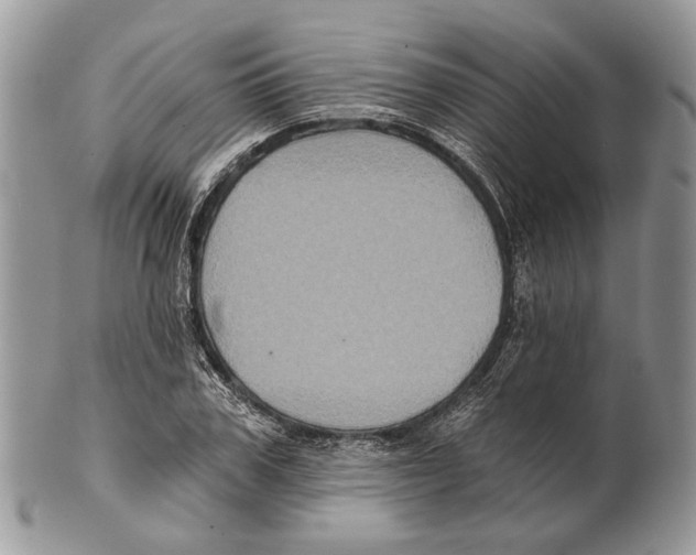 X0000101140979200807251022