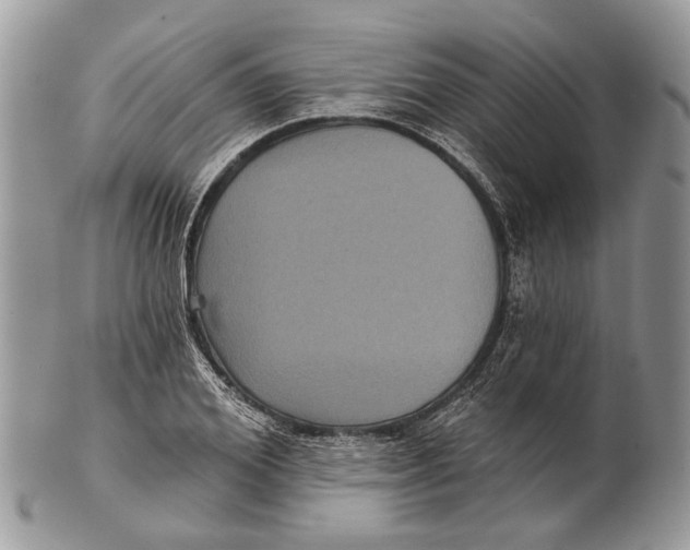 X0000101140980200807251022