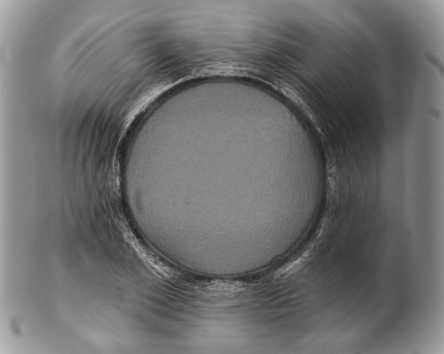 X0000101140981200807251022