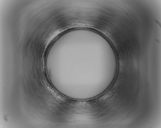 X0000101140982200807251022