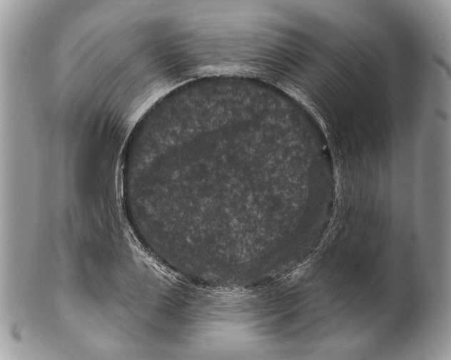 X0000101140983200807251022