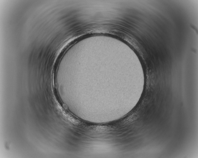 X0000101140984200807251022