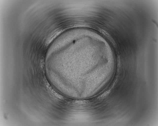 X0000101140985200807251022