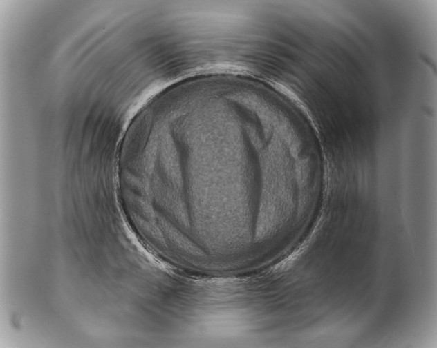 X0000101140989200807251022