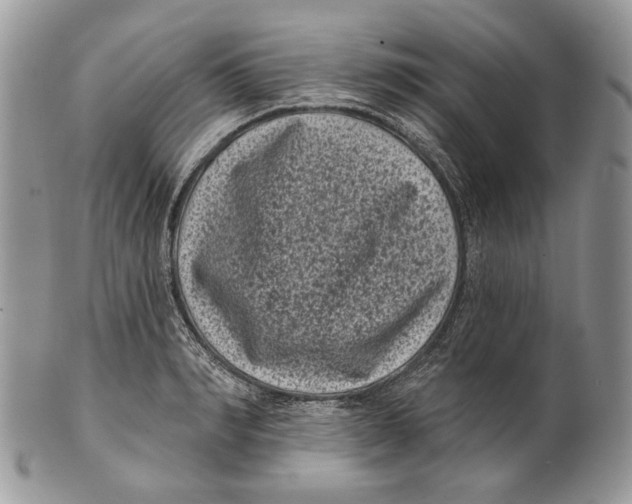 X0000101140990200807251022