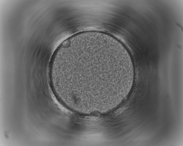 X0000101140991200807251022