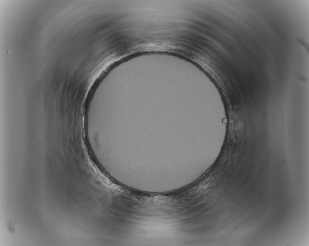 X0000101140992200807251022