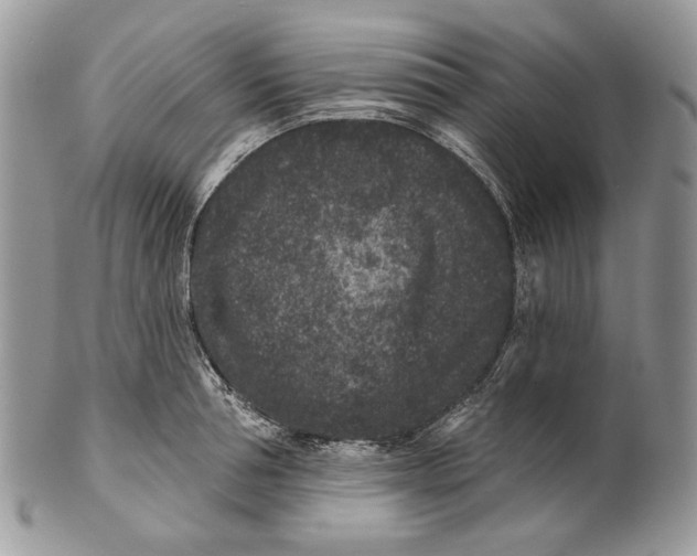 X0000101140994200807251022