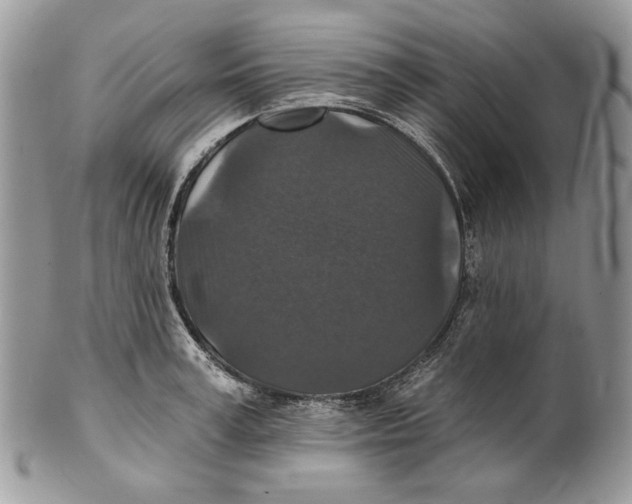 X0000101140995200807251022