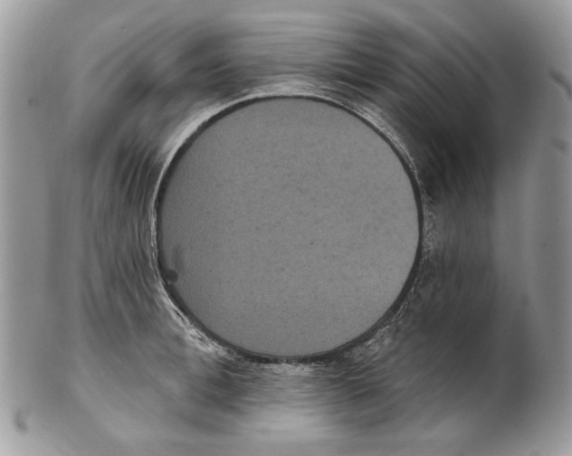 X0000101140996200807251022