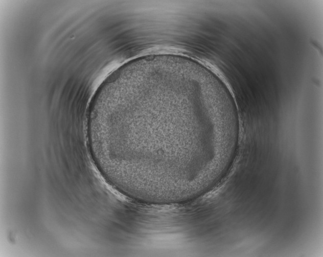 X0000101140997200807251022