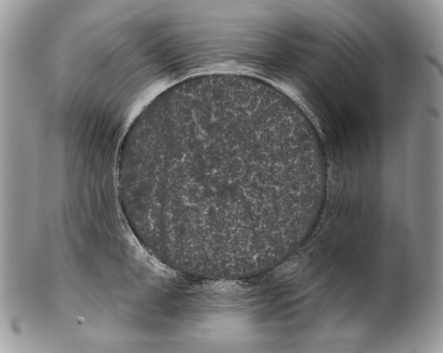 X0000101140998200807251022