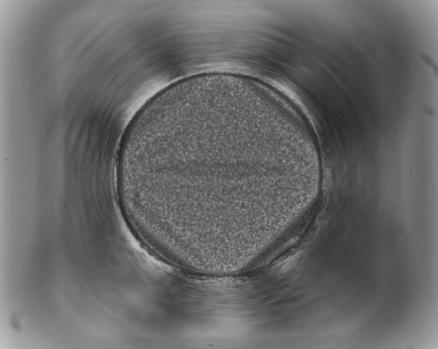 X0000101140999200807251022