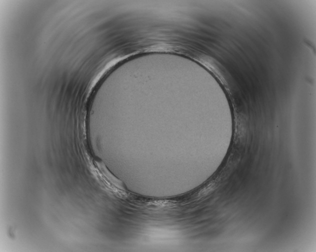 X0000101141000200807251022