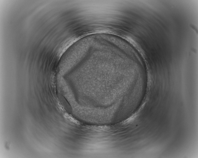 X0000101141001200807251022