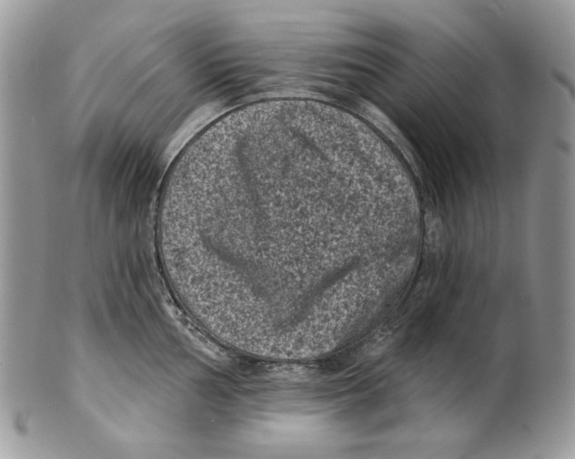 X0000101141002200807251022