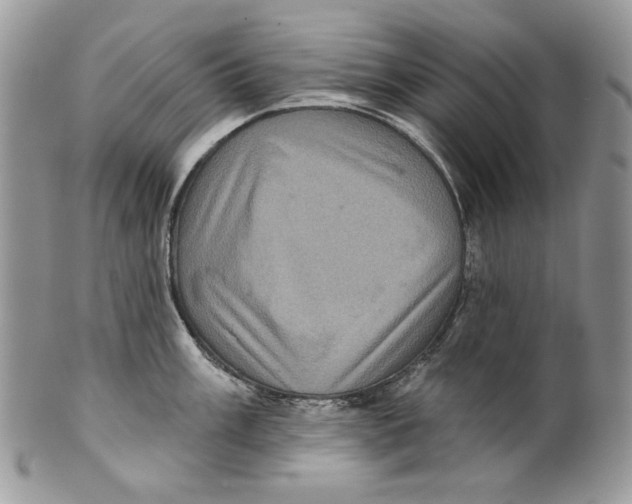 X0000101141003200807251022