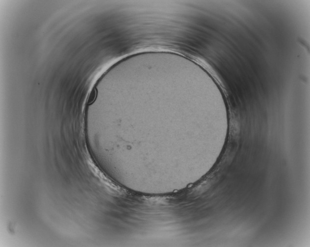 X0000101141004200807251022