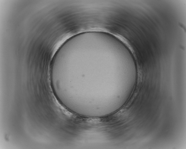 X0000101141006200807251022