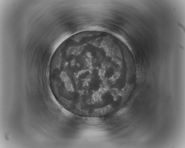 X0000101141007200807251022