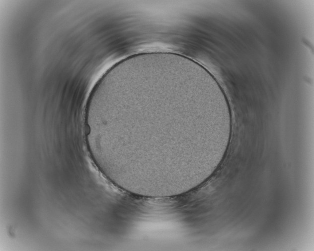 X0000101141008200807251022