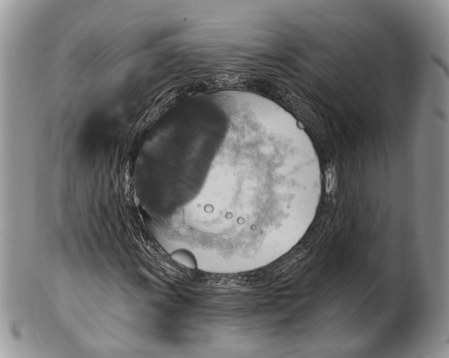 X0000101141011200807251021