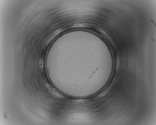 X0000101141017200807251021