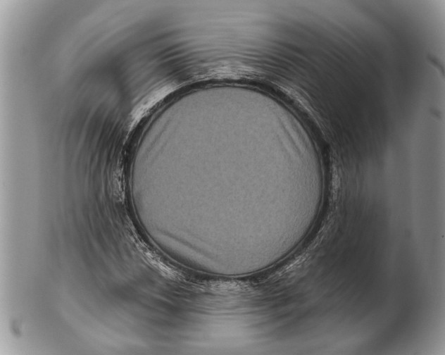 X0000101141018200807251021