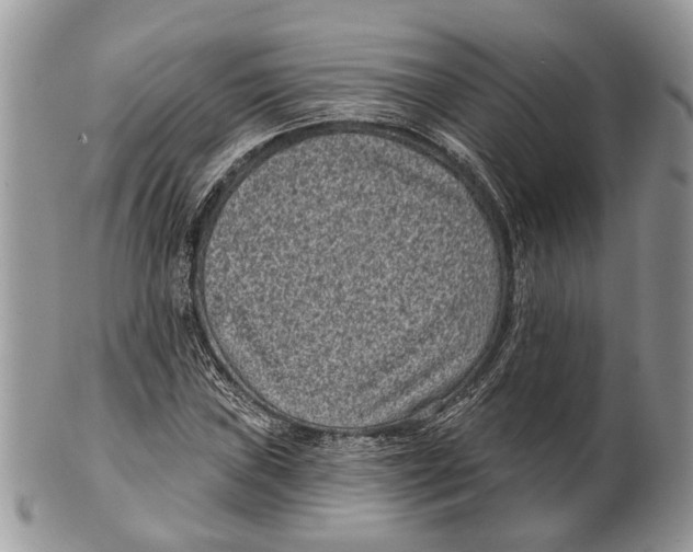 X0000101141019200807251021