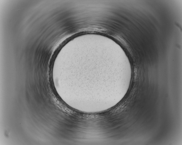 X0000101141020200807251021