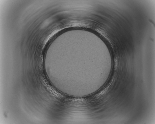 X0000101141021200807251021