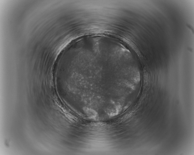 X0000101141023200807251021