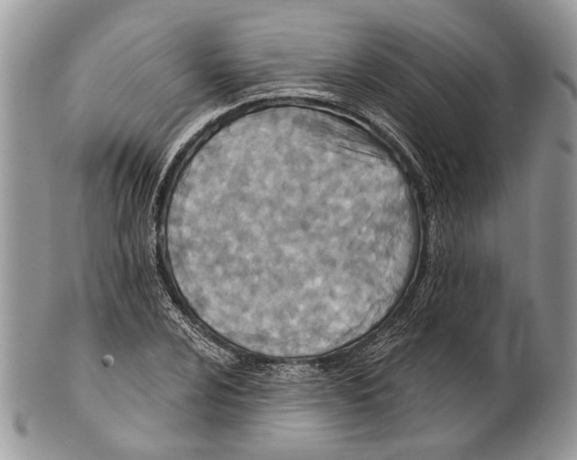 X0000101141024200807251021