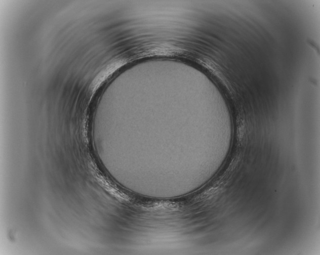 X0000101141026200807251021