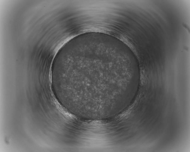 X0000101141028200807251021