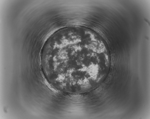 X0000101141031200807251021