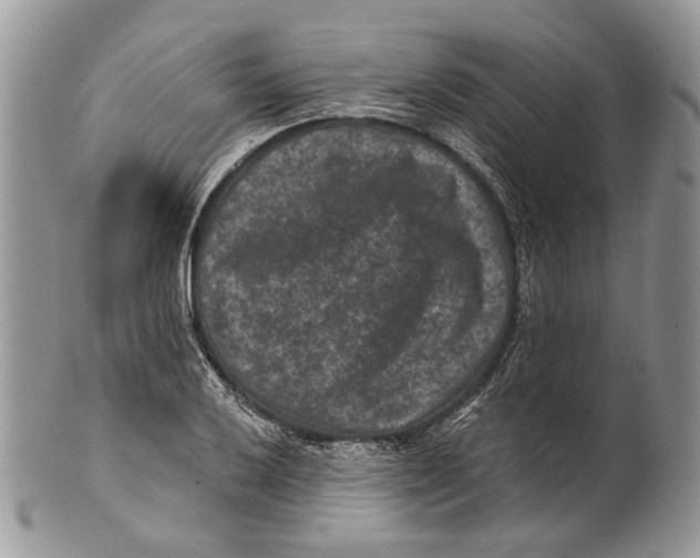 X0000101141032200807251021