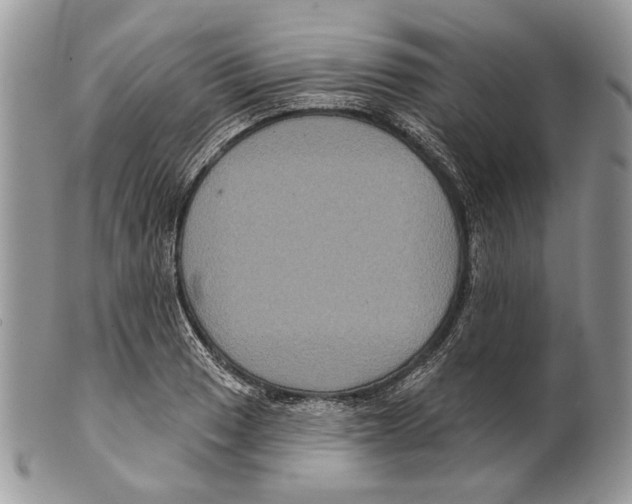 X0000101141033200807251021