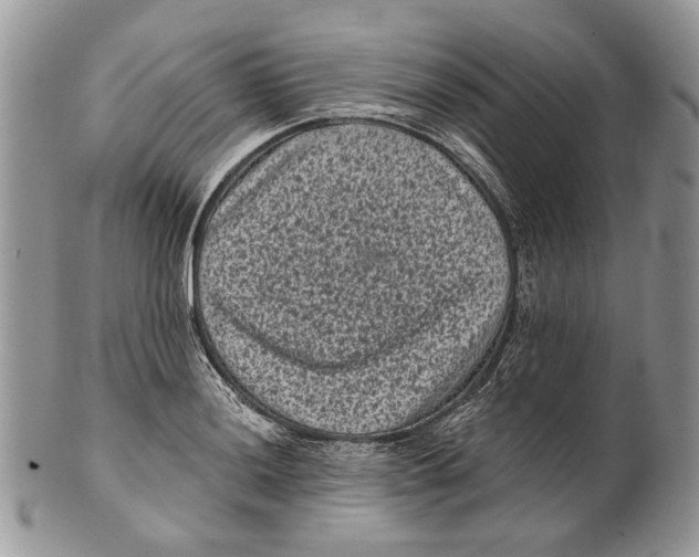 X0000101141036200807251021