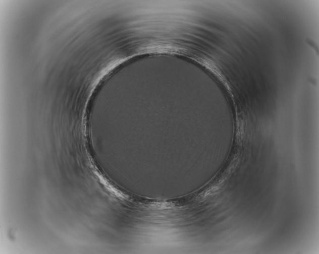 X0000101141037200807251021