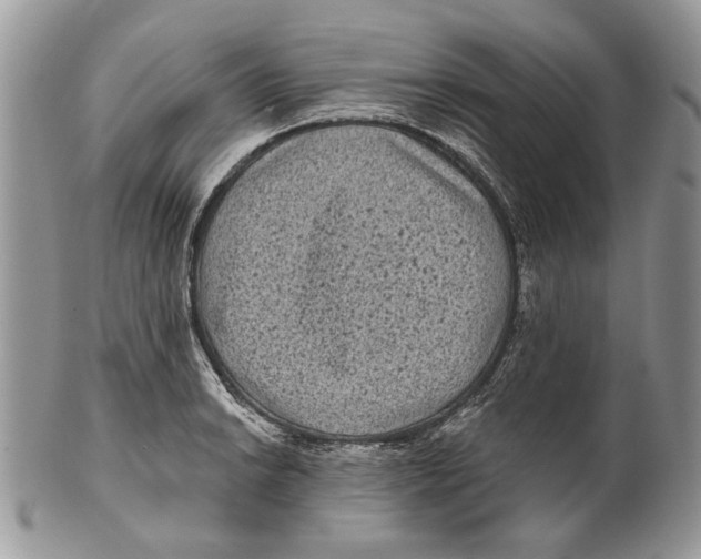 X0000101141038200807251021