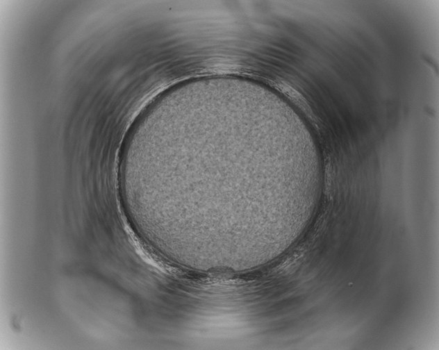 X0000101141039200807251021