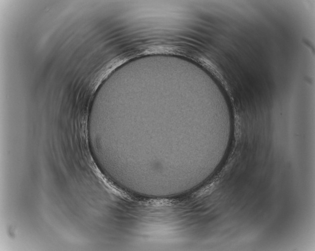 X0000101141041200807251022