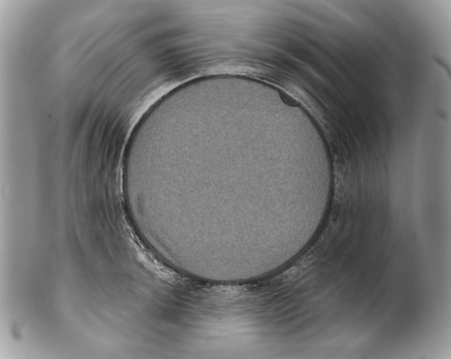 X0000101141044200807251022