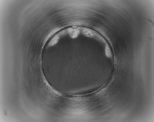 X0000101141045200807251022